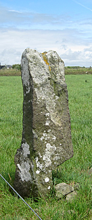 Standing stone near St Davids
