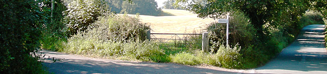 Quiet lanes in Shropshire, England, UK
