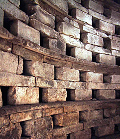 Pigion nests inside Garway Dovecot