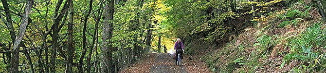 Cycling in Gloucestershire