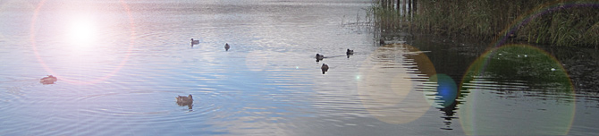 Photo for The Lady of the Lake