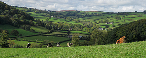 Fields in Mid Wales