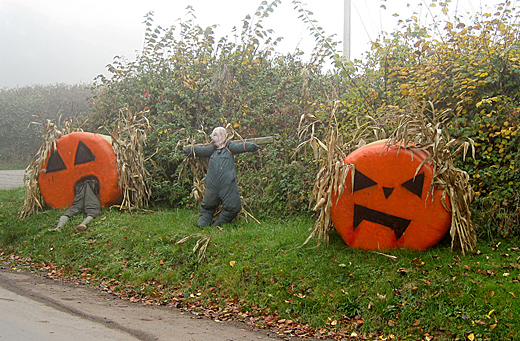 Silage bales take revenge on the farmers in Brecon Beacons National Park