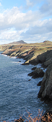 Pembrokeshire cliffs