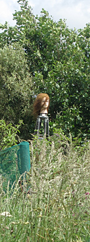 Sculpture in garden