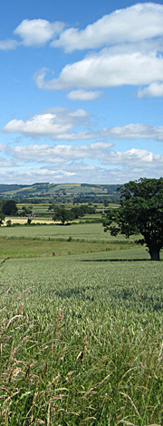Shropshire landscape