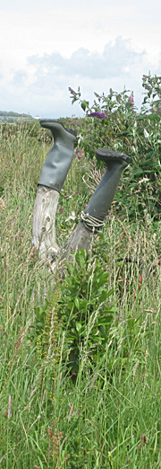 Sculpture in a garden