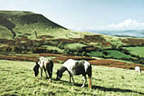 The Black Mountains, Wales.
