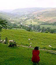Image of Wye Valley