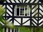 Black and white house, Herefordshire.