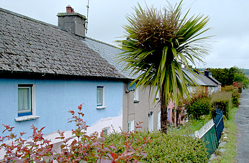 Miners' cottages in Rosebush