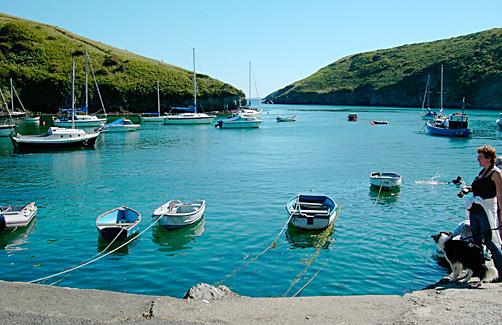 Solva harbour, Pembrokeshire