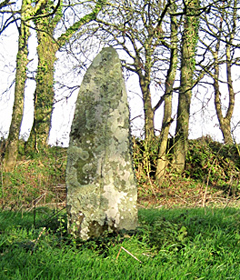 Standing stone 1